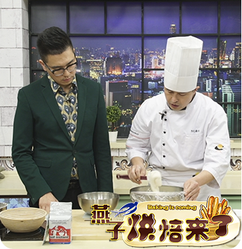 燕子来了无播放button